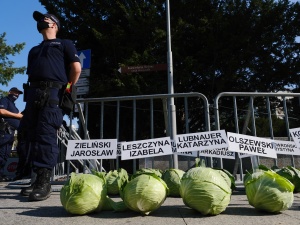 Przed Sejmem rozłożono 356 główek kapusty. Co symbolizują?
