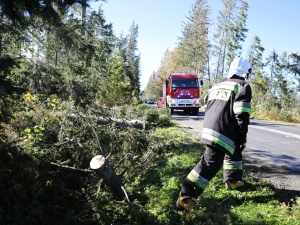 Silny wiatr nad Polską. Bez prądu pozostaje prawie 70 tys. odbiorców