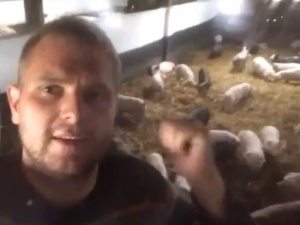 [video] Jak 5 dla Zwierząt może wpłynąć na moje gospodarstwo. Młody rolnik w mocnym nagraniu