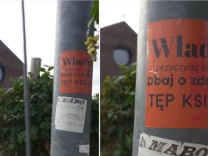 Tolerancja. Naklejki Tęp księży w Szczecinie