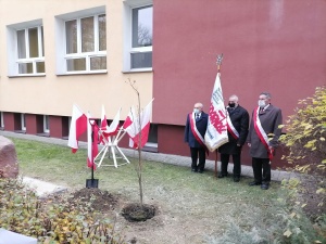 Dąb Solidarności i Wolności w 40. rocznicę rejestracji NSZZ S