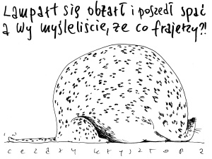 [Nowy rysunek Krysztopy] A co myśleliście frajerzy?