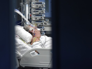 Rekordowa liczba zgonów na COVID-19. Prof. Gut tłumaczy