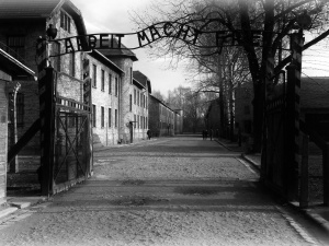 Międzynarodowy Dzień Pamięci o Ofiarach Holokaustu. Obchody 76. rocznicy wyzwolenia KL Auschwitz - tylko online