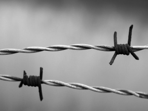 Raport IHRA: Zacieranie odpowiedzialności Niemiec jest zniekształcaniem pamięci o Holokauście