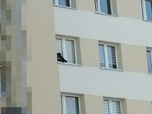 Spędził tam co najmniej 40 minut. Zwyrodnialec zamknął psa na parapecie na... 9 piętrze