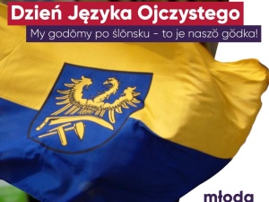 Na plakacie Młodej Lewicy flaga z godłem niemieckiej Prowinz Oberschlesien 1919-1945. Niech ktoś ich poinformuje...