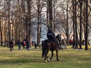 Uroczystości 11. rocznicy katastrofy smoleńskiej. Paweł Tanajno zatrzymany przez policję