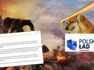 „Wzorzec wielkich chwil dziennikarstwa”. Onet tłumaczy swoim czytelnikom… mema