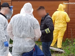 Chciał porwać dziewczynkę, ale przez pomyłkę wciągnął do samochodu chłopca. Zatrzymano podejrzanego o zabójstwo 11-letniego Sebastiana