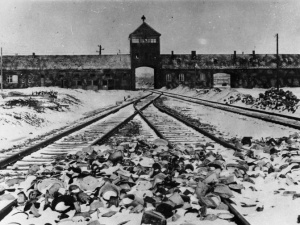 Los Angeles Times: Polska unika swej roli w nazistowskim ludobójstwie. Palade komentuje