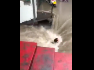 [video] Drastyczne obrazy powodzi w Chinach. W godzinę spadło więcej deszczu niż w 24 godziny w  Niemczech