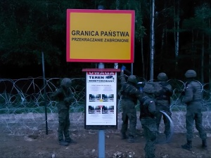 Posłanka Lewicy: Drut kolczasty na granicy z Białorusią to zagrożenie dla zwierząt żyjących po obu stronach granicy
