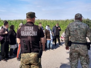 Rośnie liczba nielegalnych imigrantów. Straż Graniczna podaje nowe informacje