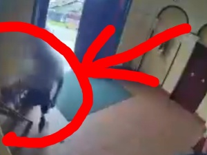 [VIDEO] Sprofanował Krzyż, złamał księdzu szczękę. Jest nagranie z monitoringu!