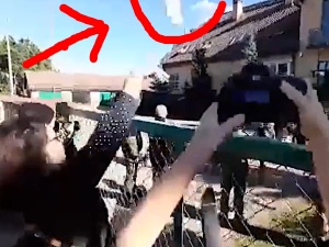 Dranie bez sumienia. Michałowo. Fotoreporterzy rzucają dzieciom czekoladki żeby zrobić bardziej dramatyczne zdjęcia? [VIDEO]