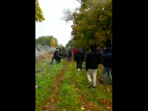 [video] Niszczenie płotu przez osoby na granicy. Min. Błaszczak: Gdyby nie płot...