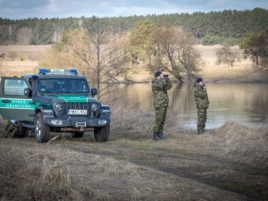 Prawie pół tysiąca prób przekroczenia granicy polsko-białoruskiej w ciągu ostatniej doby