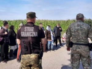 Rośnie liczba nielegalnych imigrantów. Straż Graniczna publikuje najnowsze dane