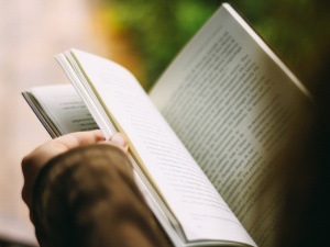 Recenzja książki Jana Majchrowskiego. Partie i Prawo w Trzeciej Rzeczypospolitej. Studia i szkice. Wydawnictwo Sejmowe.2021 r. Warszawa