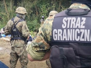 Nielegalni imigranci na granicy z Białorusią. Straż Graniczna podała najnowsze dane