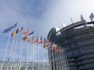 Piotr Duda do europosłów: Wbrew stanowisku rządu apeluję, abyście poparli dyrektywę o adekwatnych wynagrodzeniach