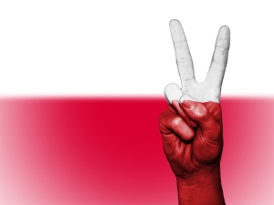 „De Telegraaf”: Europejscy politycy nie powinni uczyć Polaków na temat wolności