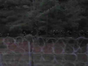 Do obozowiska imigrantów zbliża się duża grupa białoruskich funkcjonariuszy [VIDEO]