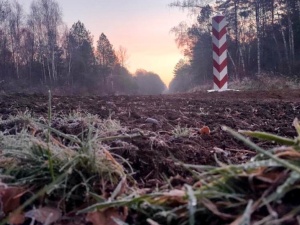 Nawet w święto służby na granicy nie mają wytchnienia. Ponad 200 prób nielegalnego przekroczenia granicy w ciągu ostatniej doby