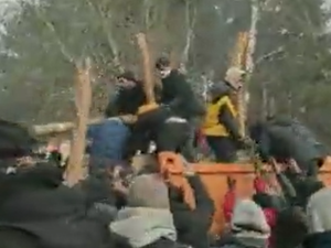 „Dostawa drewna dla migrantów”. Szokujące nagranie z polsko-białoruskiej granicy [WIDEO]