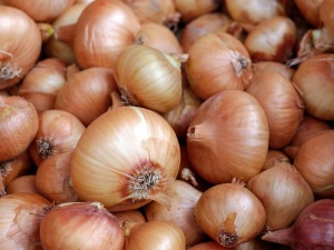 Polski kierowca przemycał ponad 400 kg kokainy. Ukryta była w ładunku mrożonych krążków cebuli 