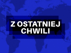 TSUE chce, by ekologiści mieli wpływ poprzez sądy na gospodarkę leśną. Jest odpowiedź polskiego rządu