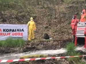 Greenpeace zablokowało odpływ kolektora wód kopalnianych Halemby do Odry? PGG zapowiada kroki prawne. „Ryzyko zalania kopalni”