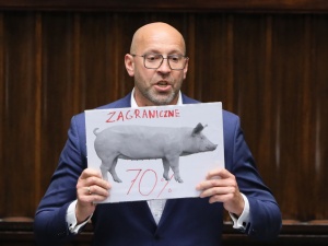 „Zagraniczne świnie!” Nerwowe wystąpienie posła Platformy [WIDEO]