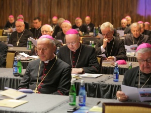 Biskupi dokonali wyborów do gremiów Episkopatu i instytucji kościelnych 