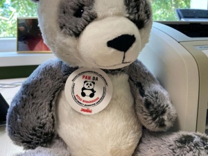 PanDa. Zielonogórska S apeluje o godne warunki pracy i płacy w jednostkach samorządu miejskiego w Nowej Soli