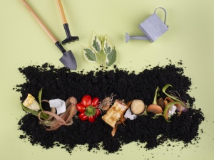 Co to jest kompost – jak go robić i jak stosować