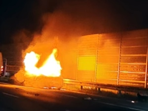 Wypadek na A1. Obrońca Sebastiana M.: Ziobro odpowiada na pewne oczekiwanie opinii publicznej