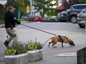Poszukiwania Grzegorza Borysa. Nowe informacje policji