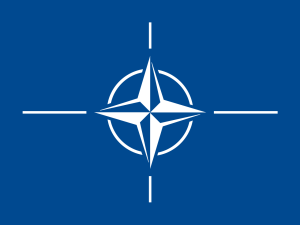NATO złożyło Polsce życzenia z okazji Święta Niepodległości. A za nim setki internautów z całego świata