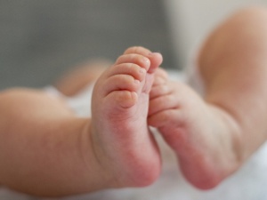 19-latka urodziła w lesie. Prokuratura wszczęła dochodzenie 