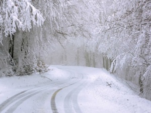 Ostrzeżenie przed silnym mrozem. W tych regionach nawet do minus 16 stopni Celsjusza