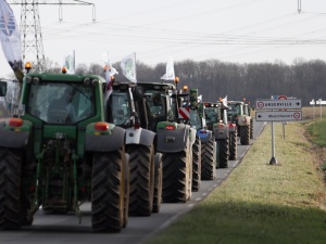 Włochy: Rolnicy protestują przeciwko polityce rolnej Unii Europejskiej