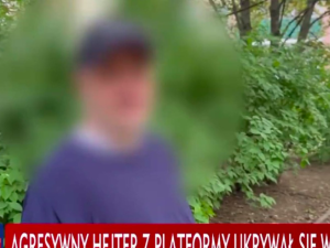 Platforma miała zapłacić setki tysięcy złotych internetowemu hejterowi