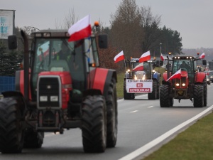  Protesty rolników w Polsce. Telus: Obecny rząd nie robi nic