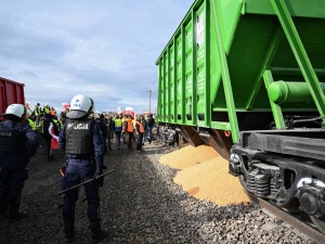 Wiceminister rolnictwa Ukrainy: „Strona polska powinna wypłacić odszkodowanie za rozsypane zboże”