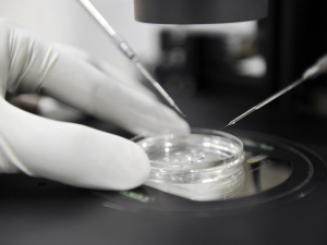 Kandydat KO na prezydenta miasta proponuje… bony na in vitro 