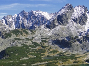 Tatry: Tragiczny finał spotkania z niedźwiedziem 