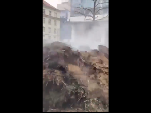 Rolnicy wysypali obornik przed Wielkopolskim Urzędem Wojewódzkim w Poznaniu