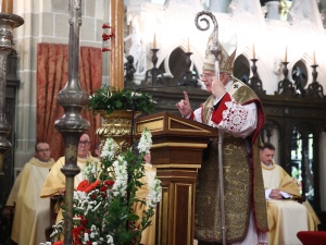 Abp Marek Jędraszewski na Wawelu: Polska nie może być prawdziwie wolna bez prawdy o swoich chrześcijańskich korzeniach